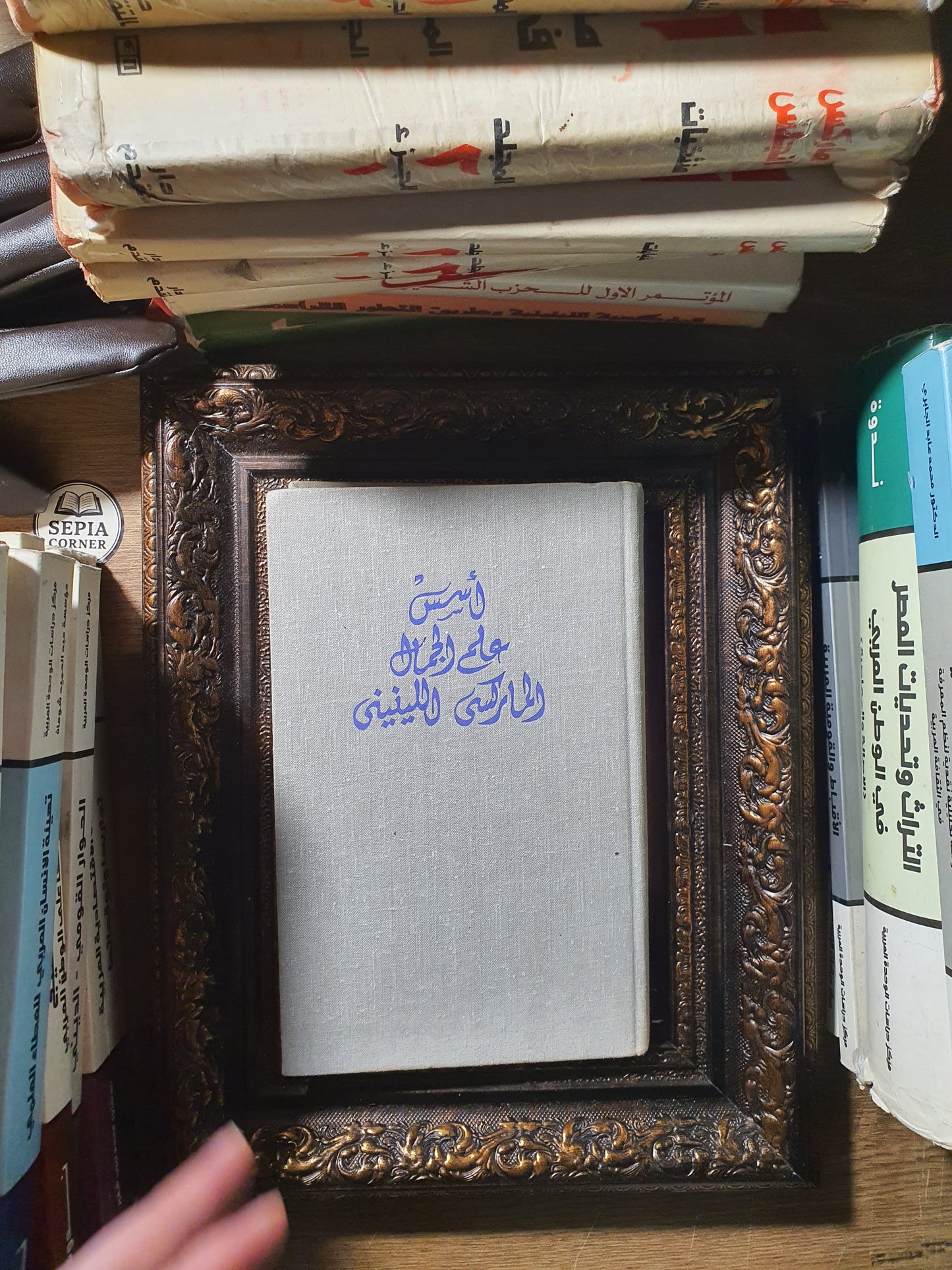 أسس علم الجمال الماركسي اللينيني