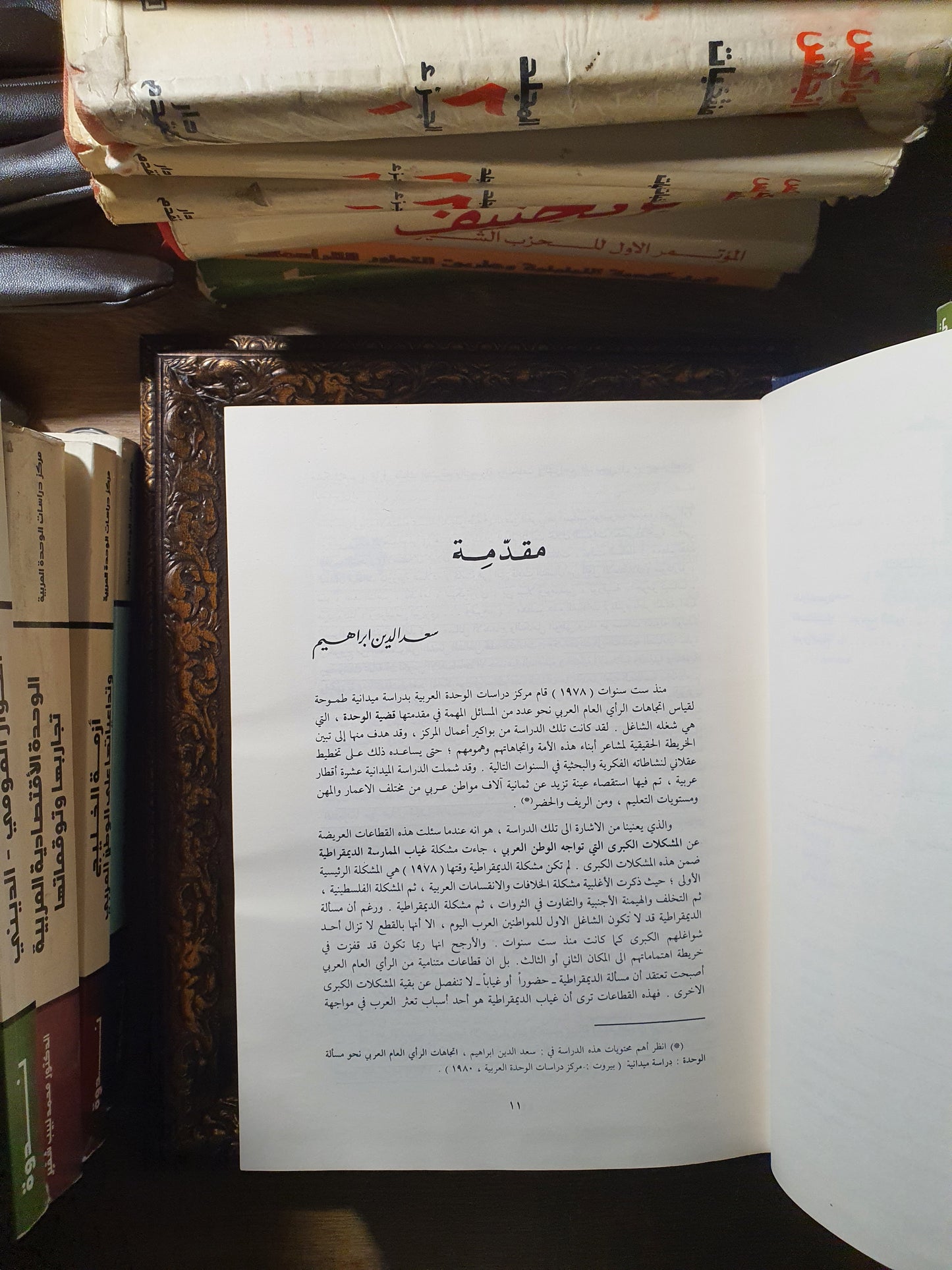 أزمة الديمقراطية في الوطن العربي