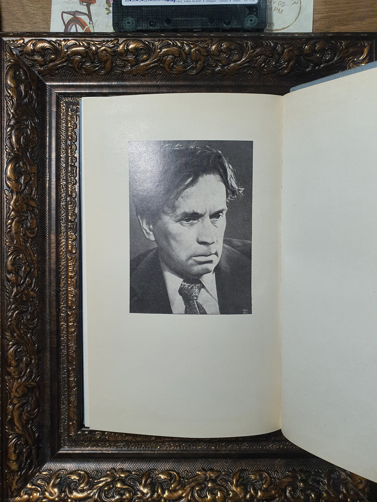 الاخوة والاخوات