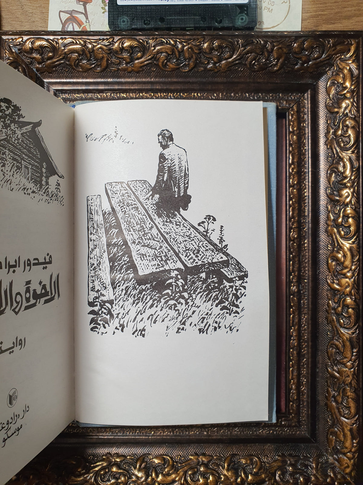 الاخوة والاخوات