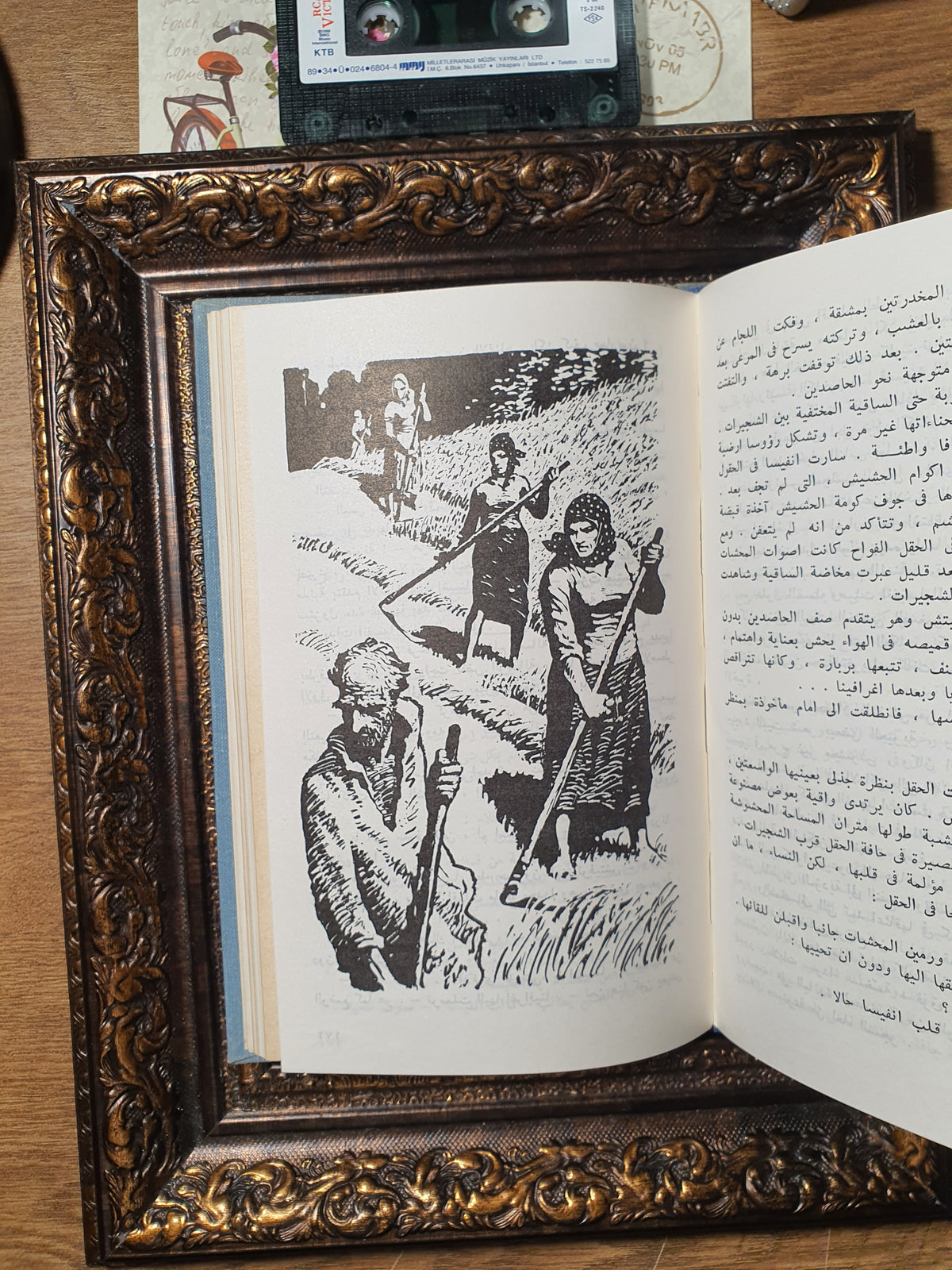 الاخوة والاخوات