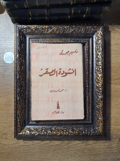 أنشودة الصقر