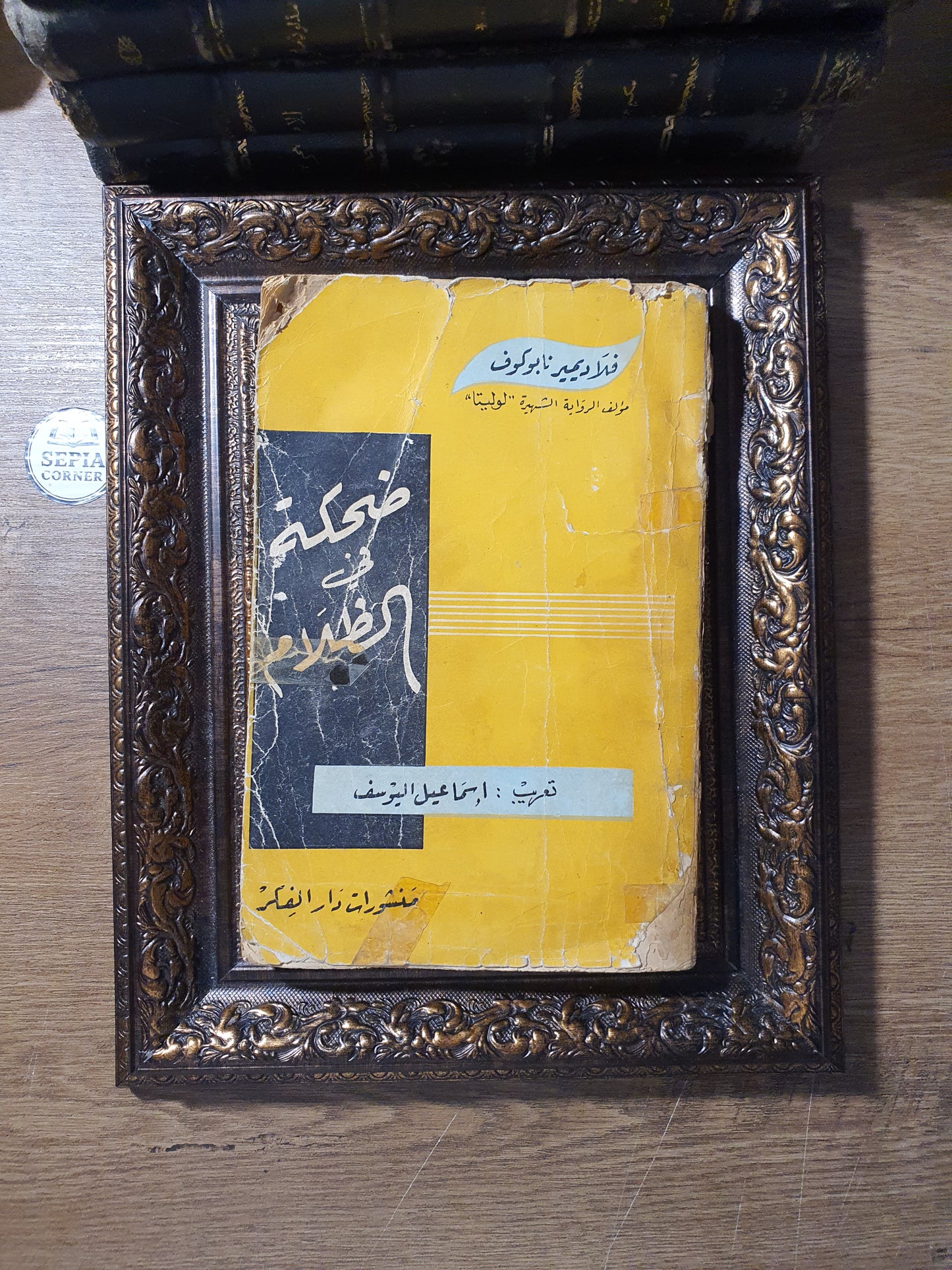 ضحكة في الظلام