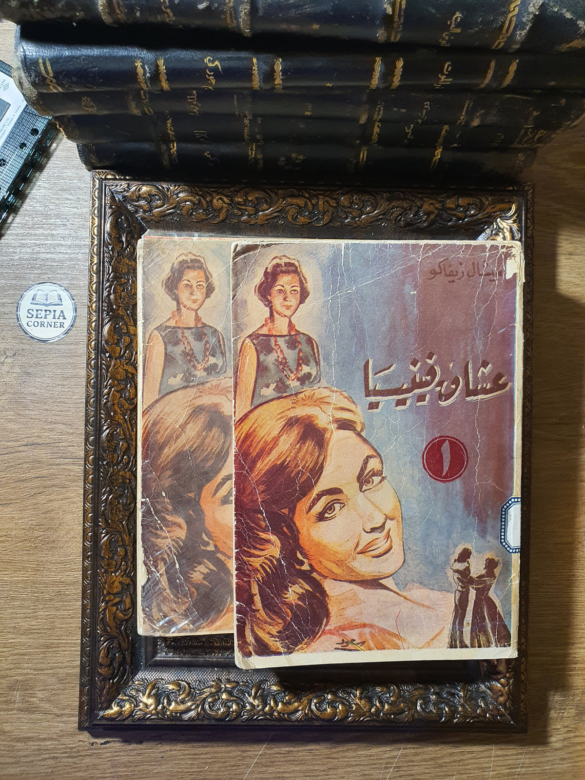 عشاق فينيسيا – ميشال زيفاكو