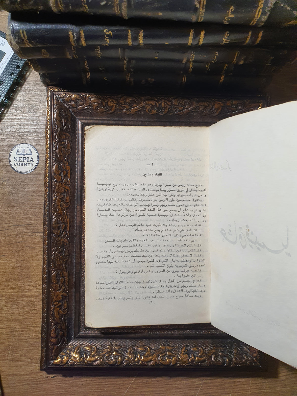 عشاق فينيسيا – ميشال زيفاكو