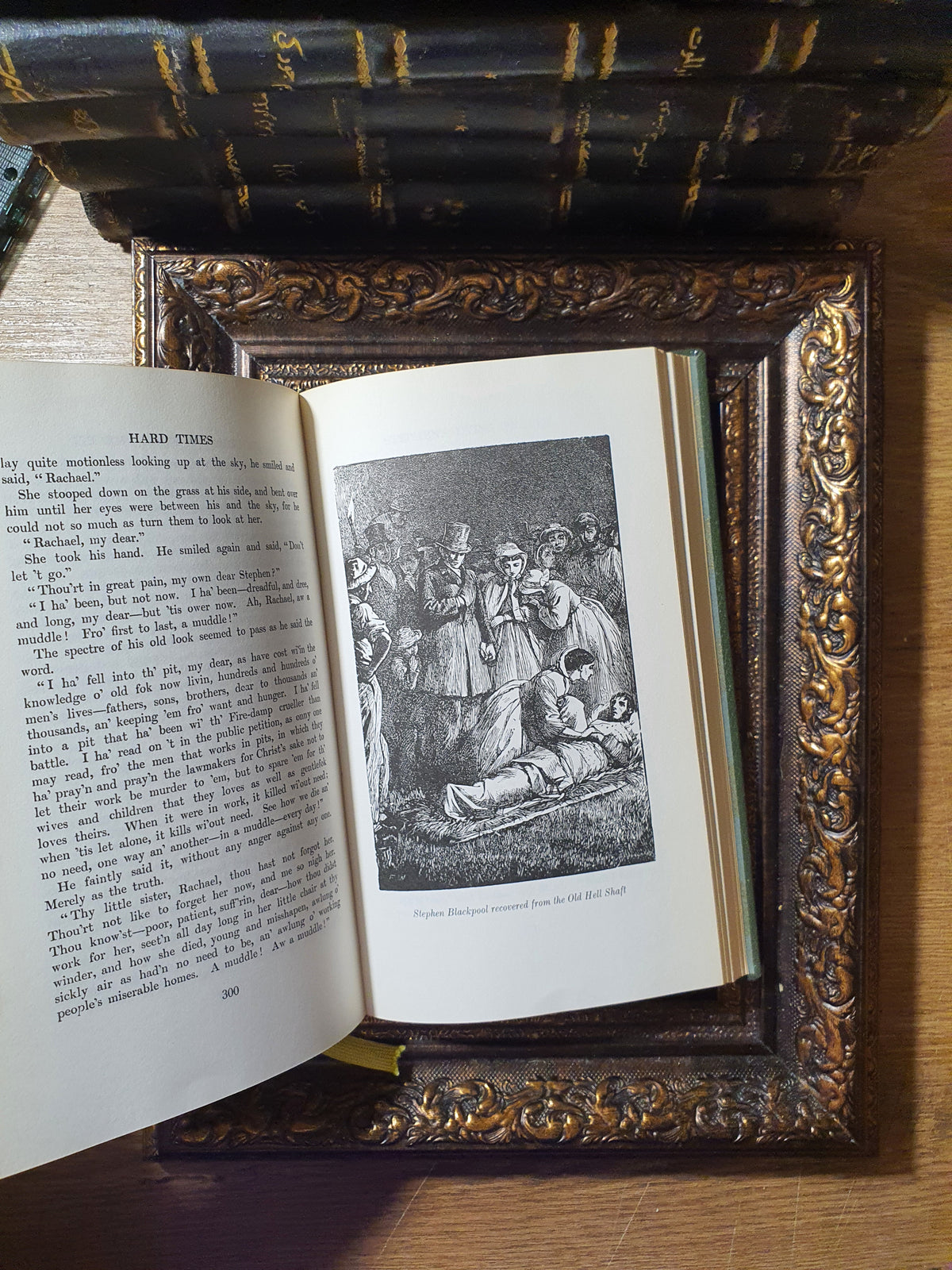 Hard Times – Charles Dickens