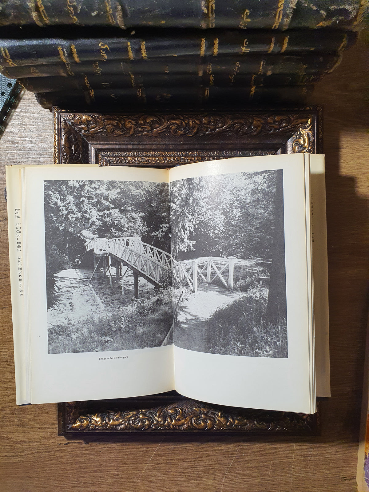 Title: Alexander Pushkin – Selected Works in Two Volumes
