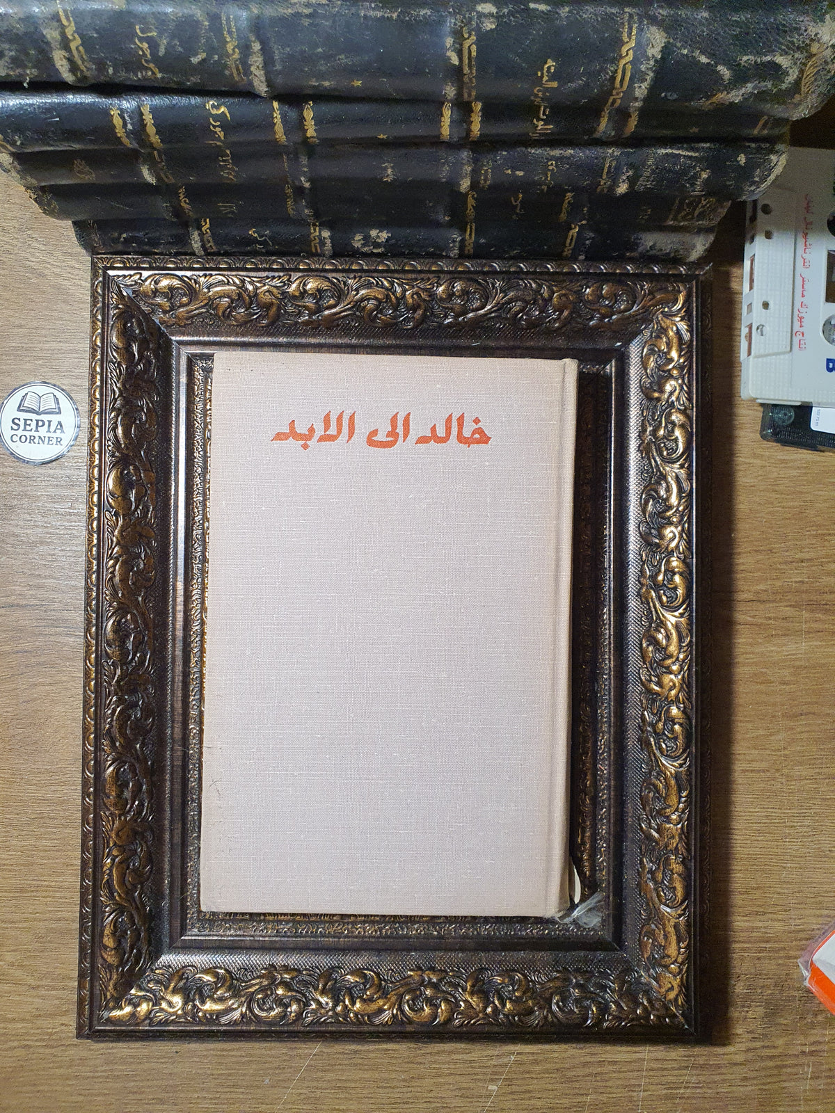 خالد إلى الأبد (ذكريات معاصري لينين عنه)