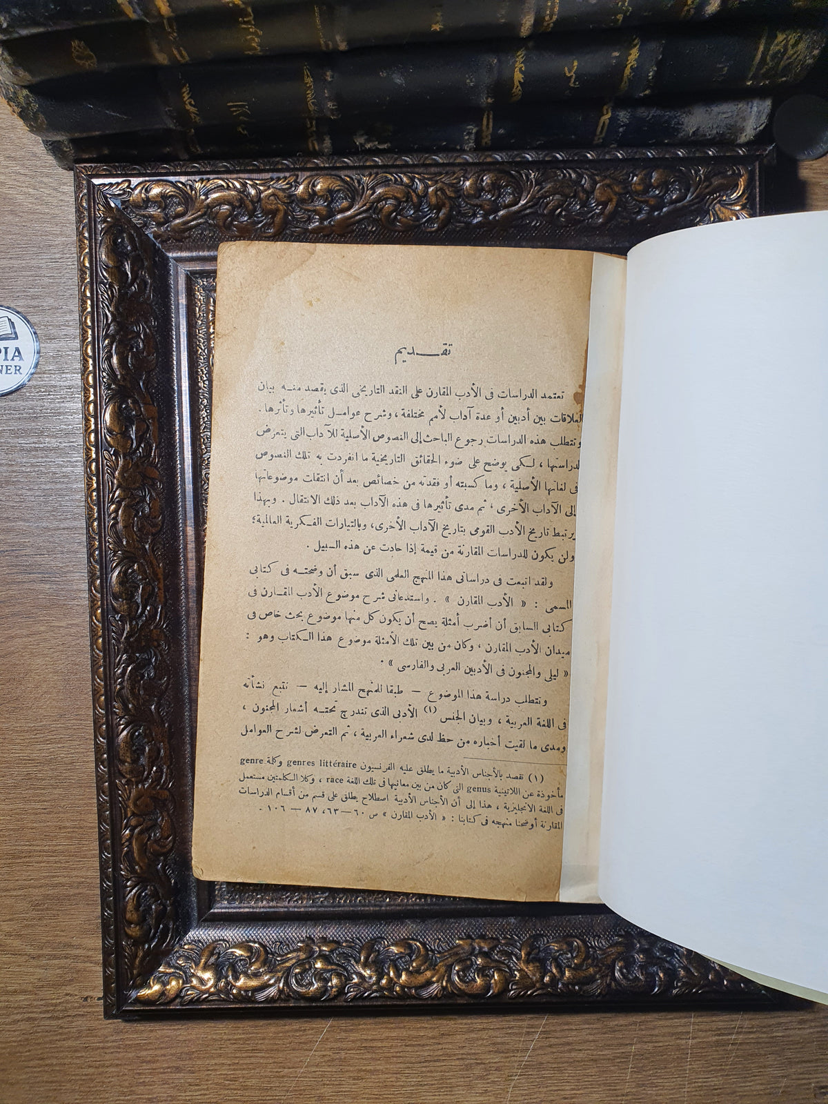 ليلى والمجنون في الأدبين العربي والفارسي (دراسات نقدية ومقارنة)