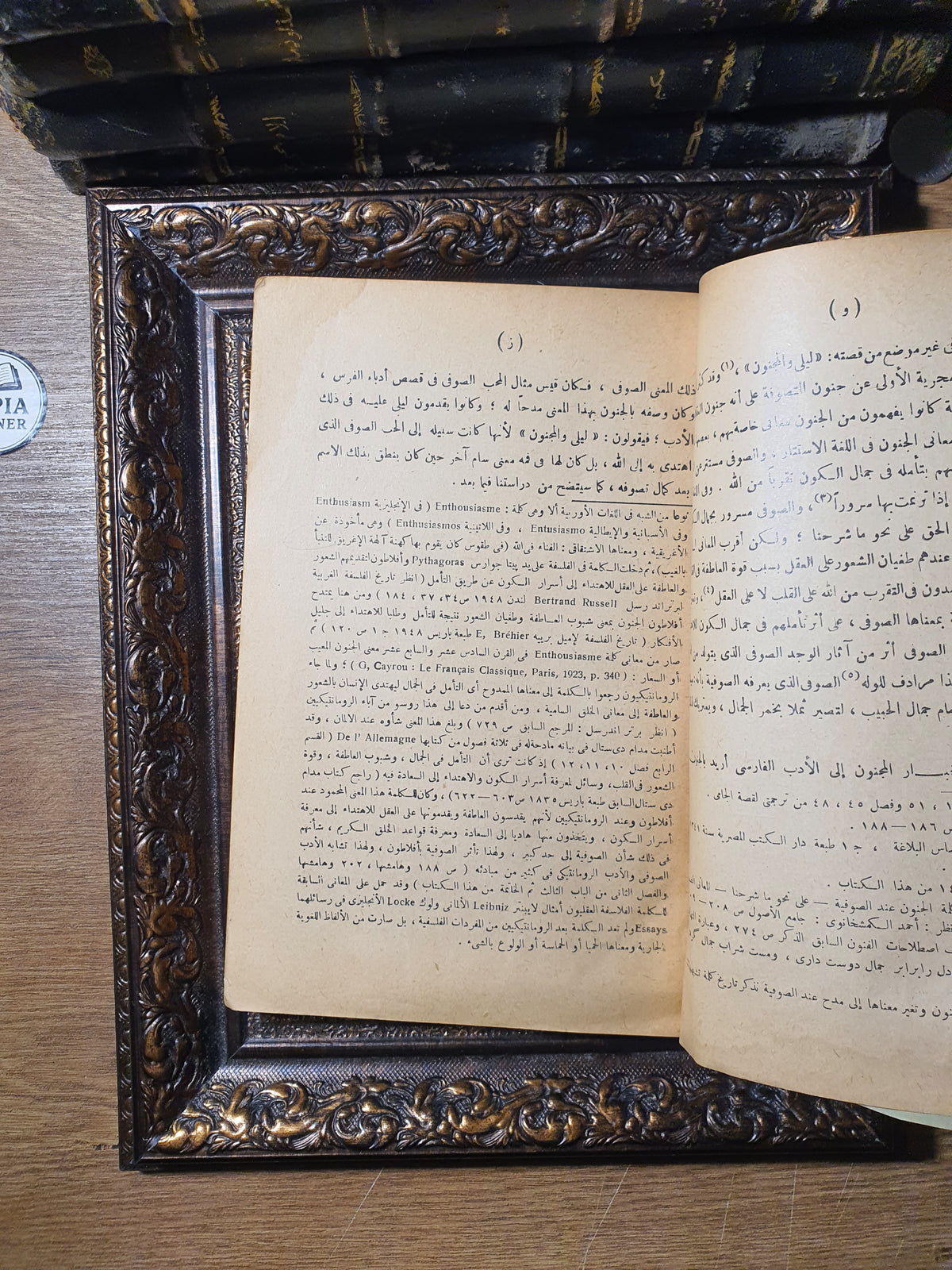 ليلى والمجنون في الأدبين العربي والفارسي (دراسات نقدية ومقارنة)