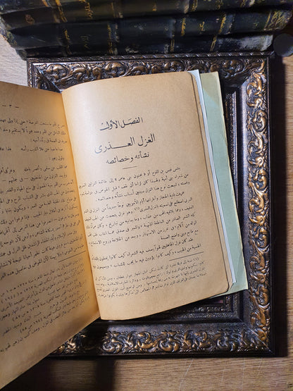 ليلى والمجنون في الأدبين العربي والفارسي (دراسات نقدية ومقارنة)