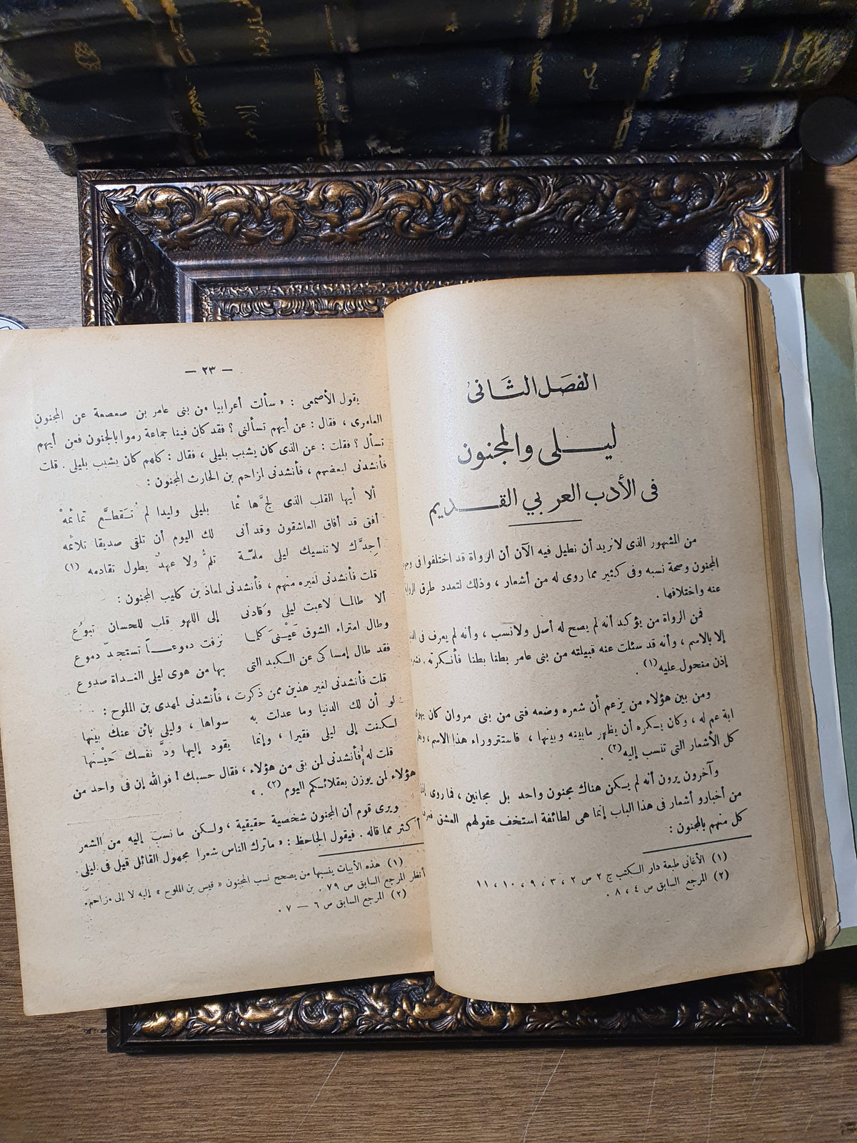 ليلى والمجنون في الأدبين العربي والفارسي (دراسات نقدية ومقارنة)