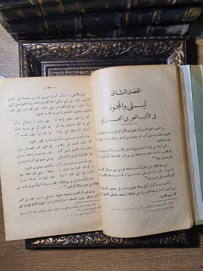 ليلى والمجنون في الأدبين العربي والفارسي (دراسات نقدية ومقارنة)