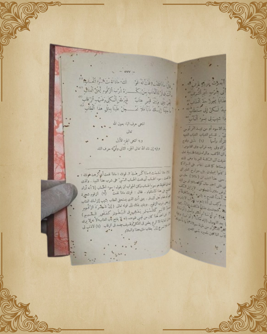 ديوان ابن الرومي