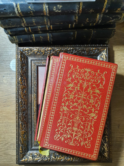 The brothers Karamazov
