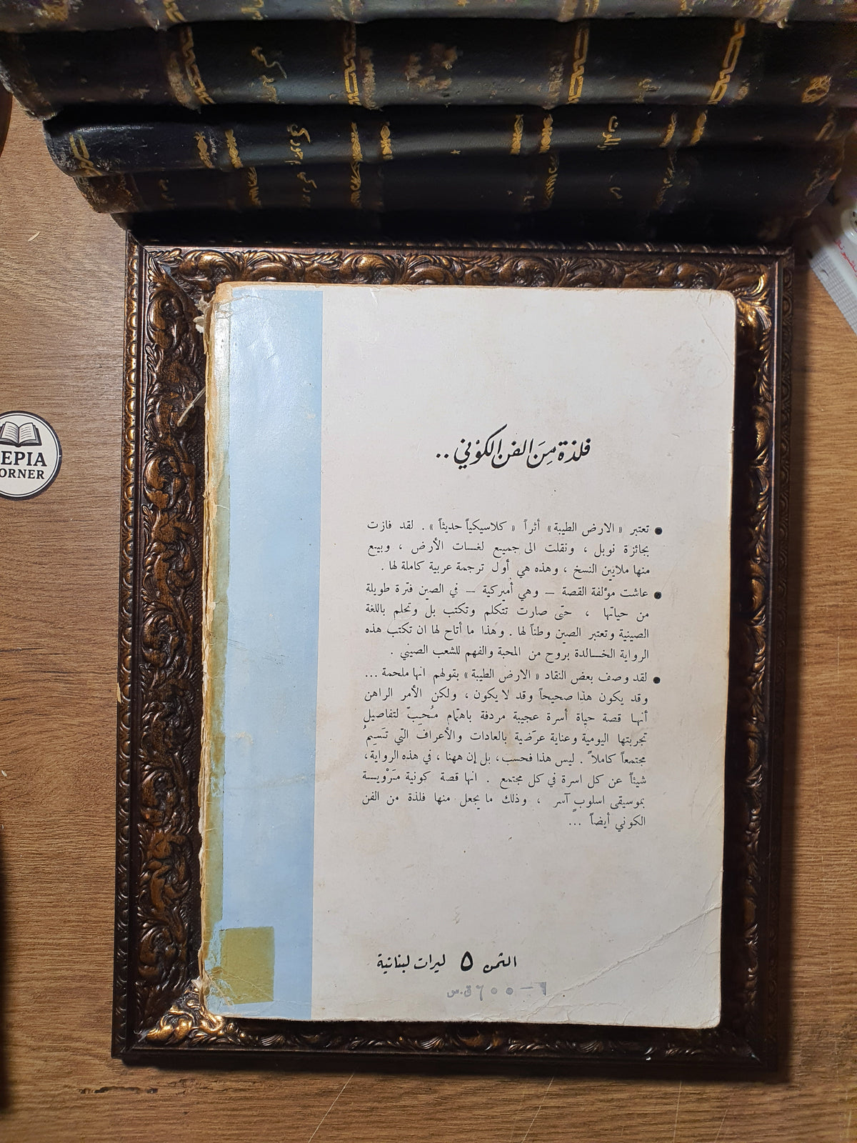 الأرض الطيبة
