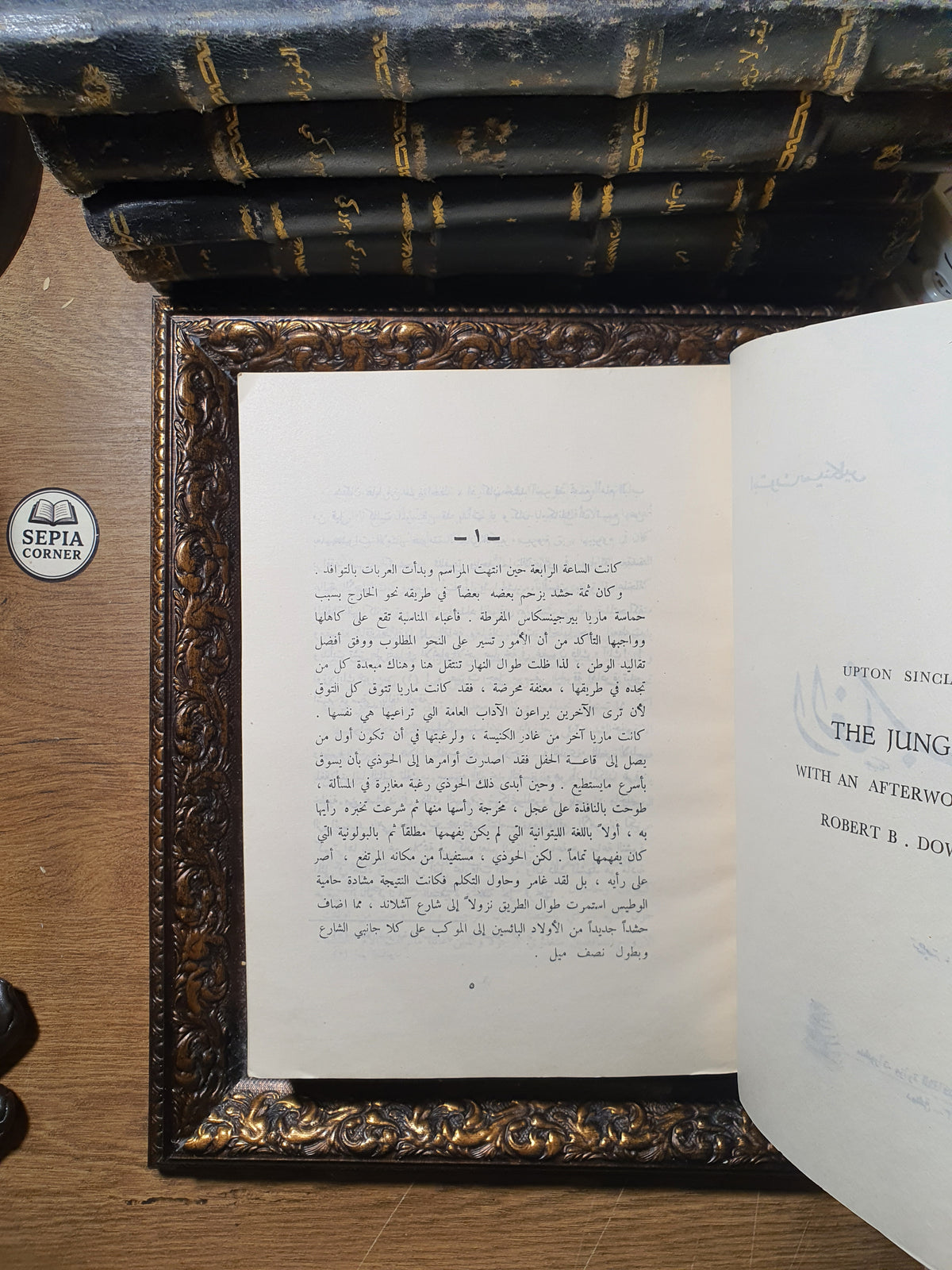 الغاب