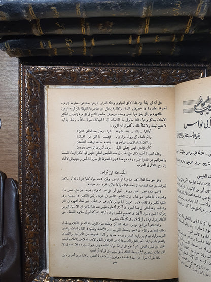 أبو نواس: حياته وشعره