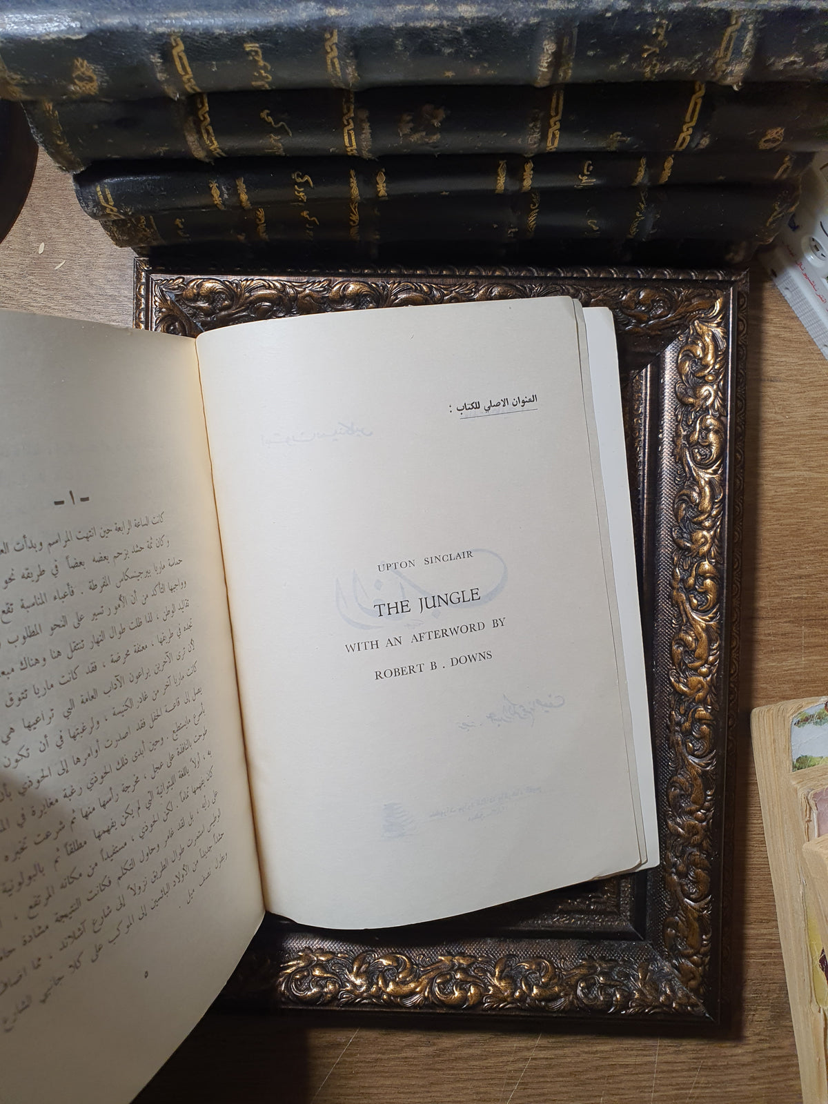 الغاب