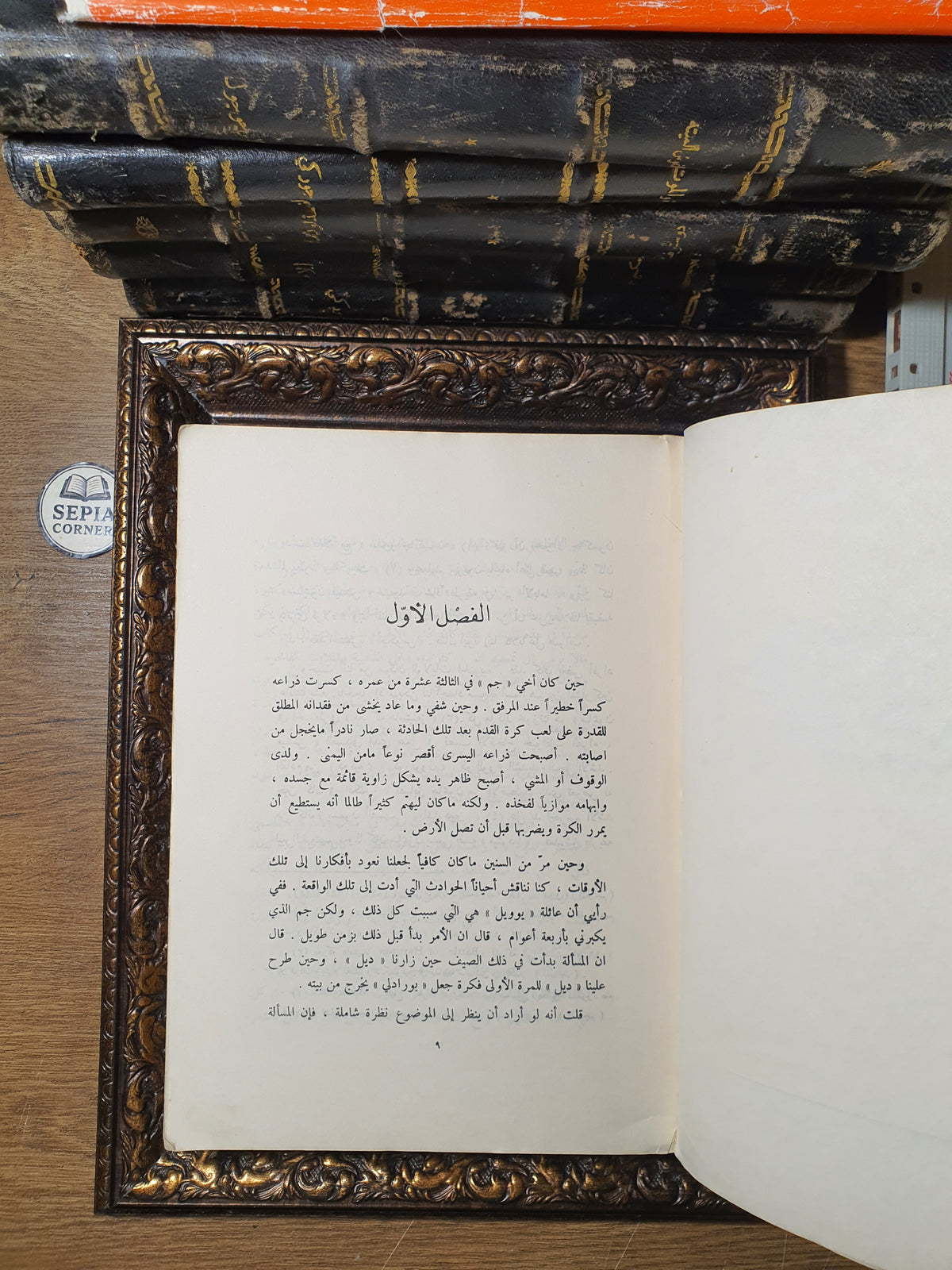 لا تقتل عصفوراً ساخراً – هاربر لي