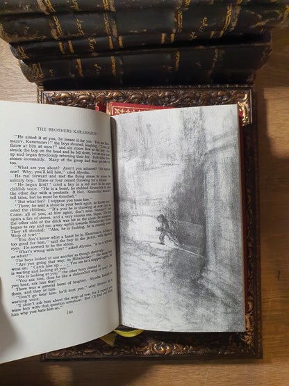 The brothers Karamazov