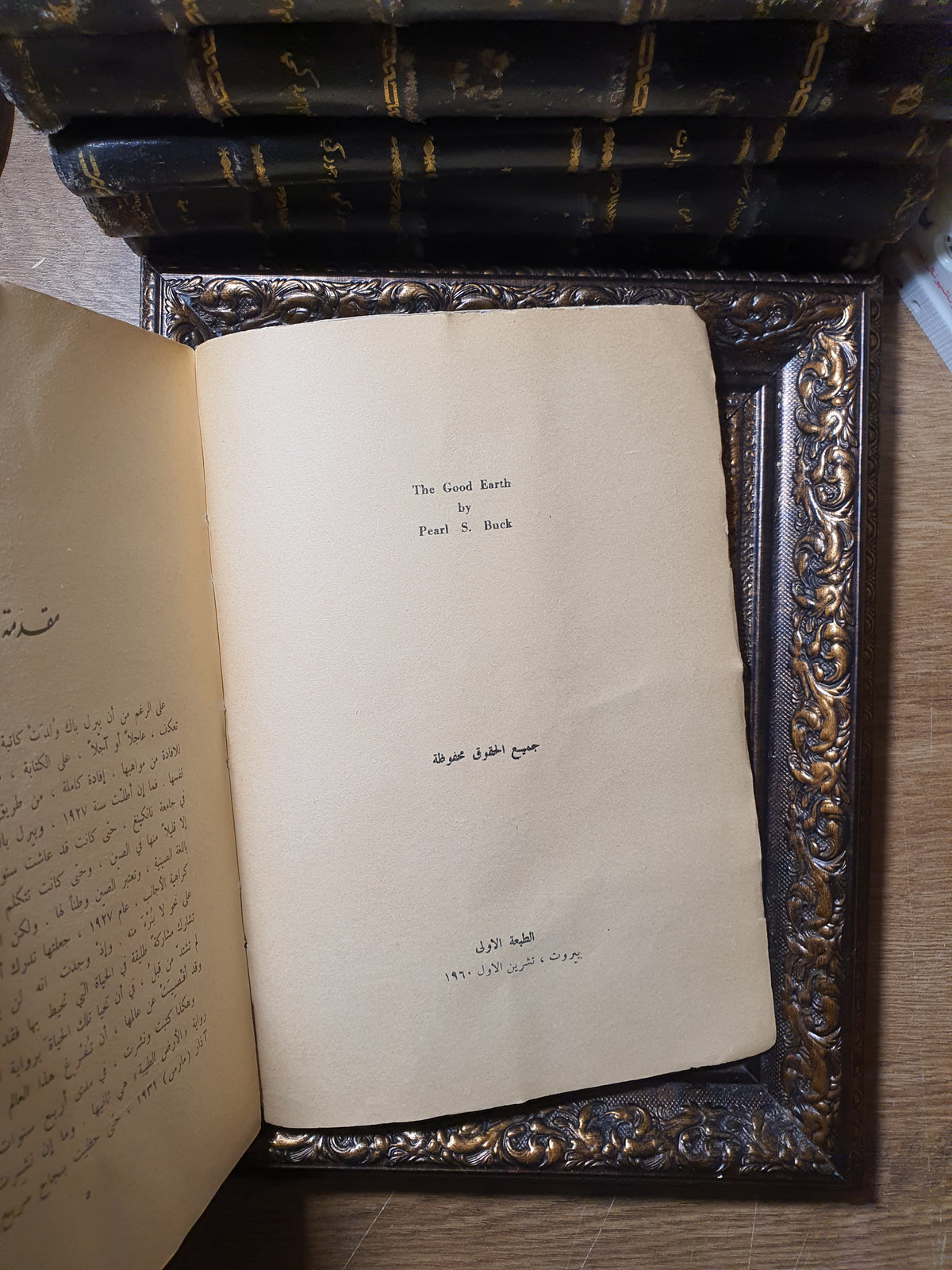 الأرض الطيبة