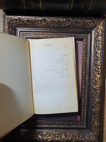 بطل من هذا الزمان