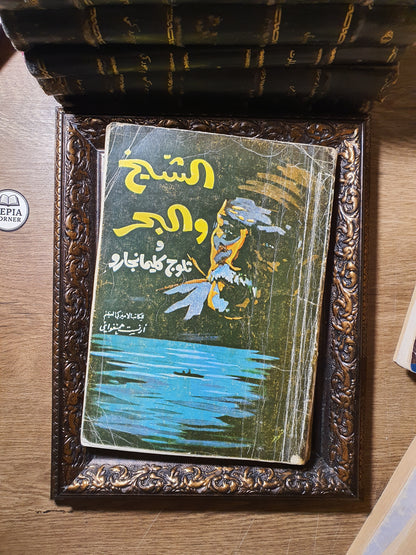 الشيخ والبحر وثلوج كليمانجارو