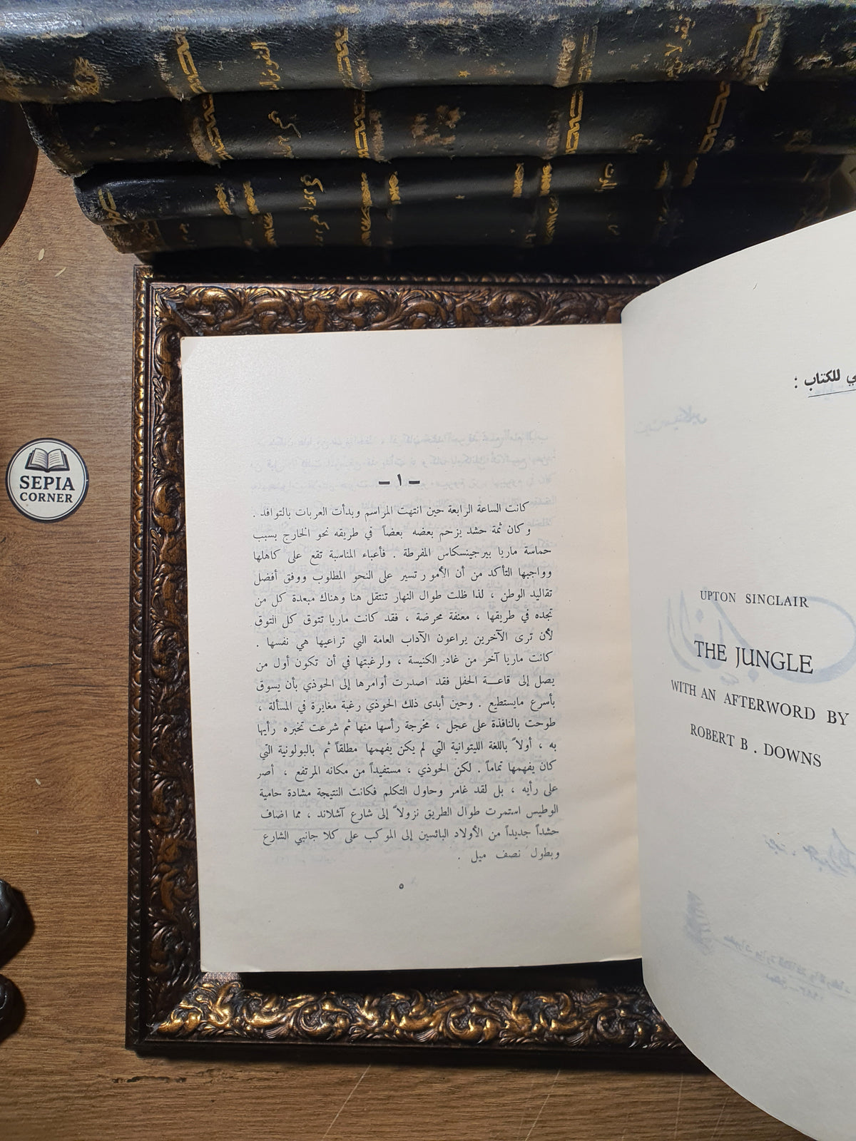 الغاب
