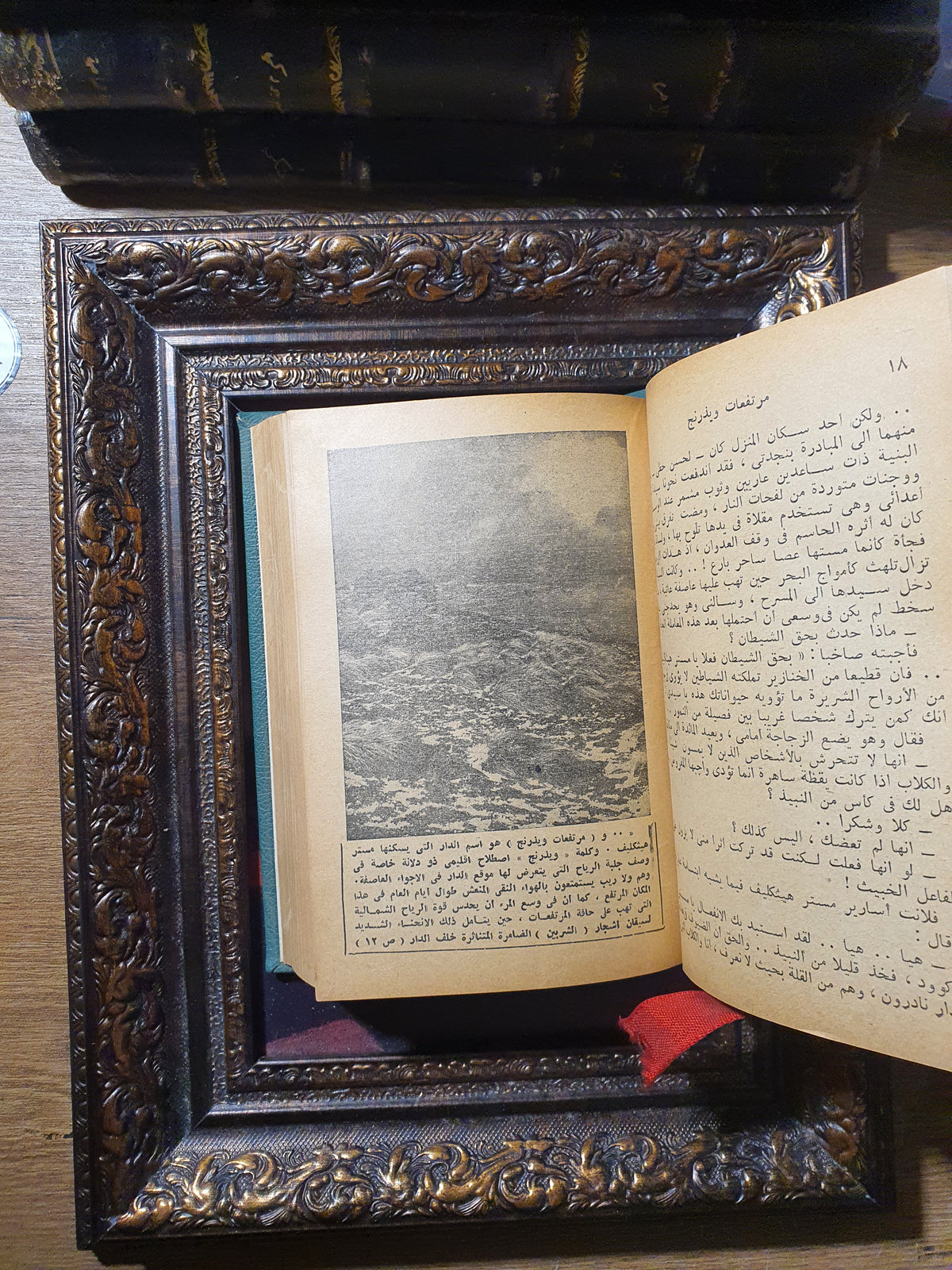روائع الأخوات برونتي: جين اير ومرتفعات ويزرنغ (مجلد جلدي خاص)
