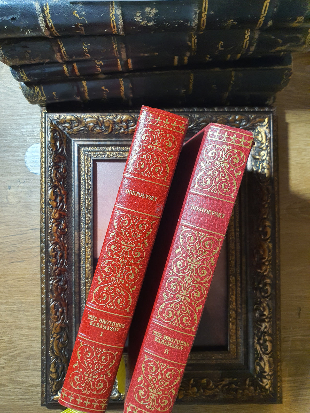 The brothers Karamazov